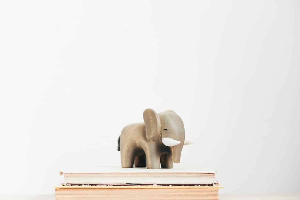 animaux  livres