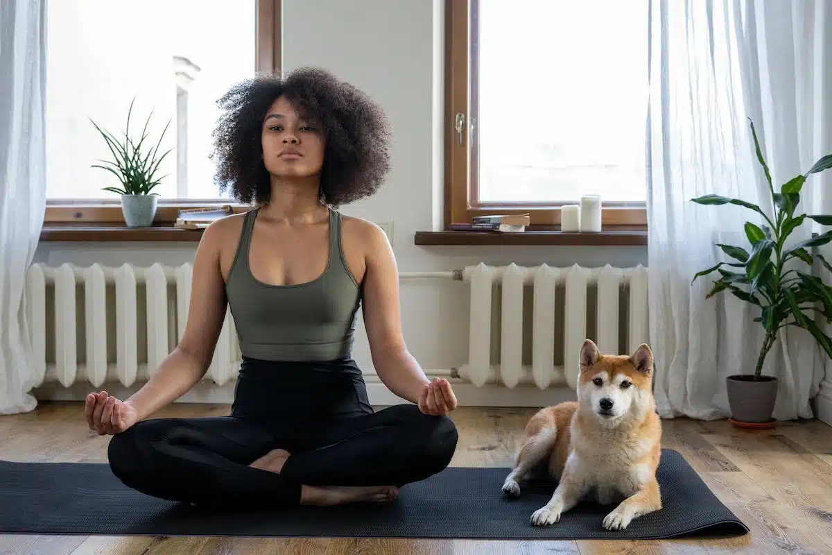 chien méditation