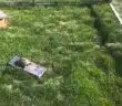 Comment construire un enclos extérieur pour tortue de terre : conseils et astuces