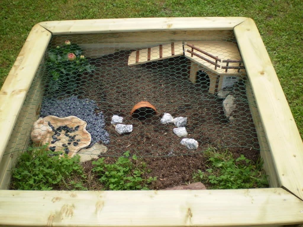 Comment construire un enclos extérieur pour tortue de terre : conseils et astuces