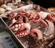 octopus on gray tray