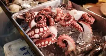 octopus on gray tray