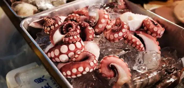 octopus on gray tray